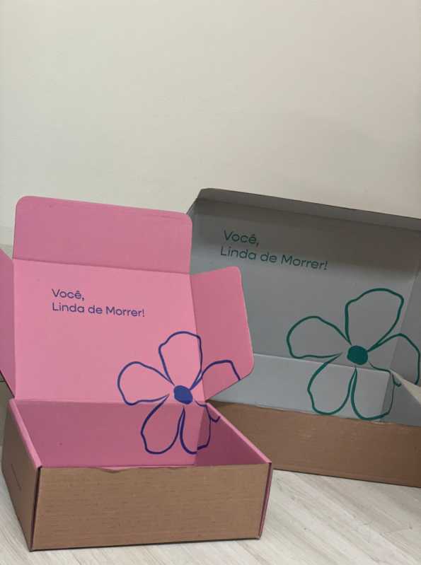 Caixas de Papelão Personalizada Rio de Janeiro - Caixa de Papelão Pequena