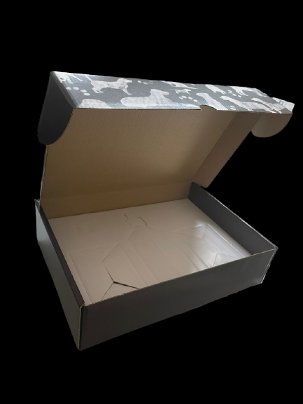 Preço de Caixa de Papelão Personalizada Embu-Guaçu - Caixa de Papel Kraft